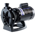 Polaris PB4-60 Booster Pump Motor, 0.75 HP, 230/115 V, 60 Hz , Single Phase