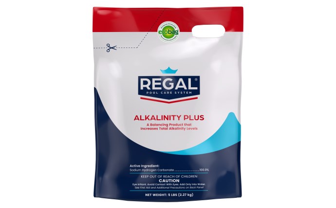 REGAL CHEMICALS 5 lb Alkalinity Plus Bag